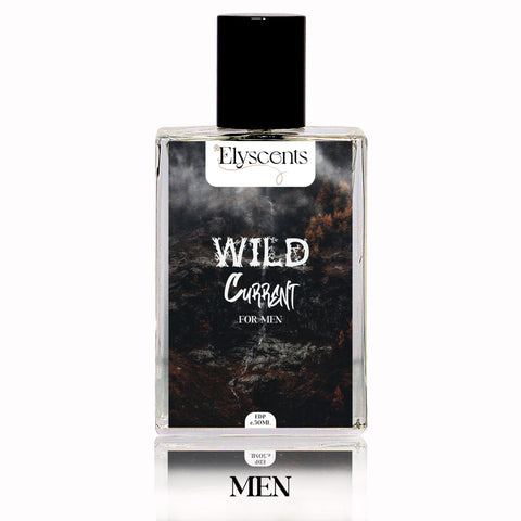 Wild Current - INSPIRED BY Aqua Di Gio Armani